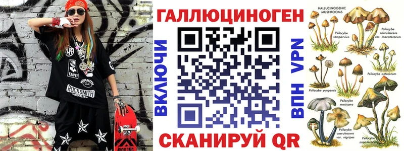 Псилоцибиновые грибы Psilocybine cubensis  Городовиковск 